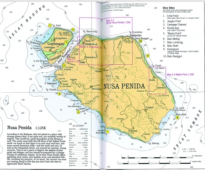 Manta Point photo 3