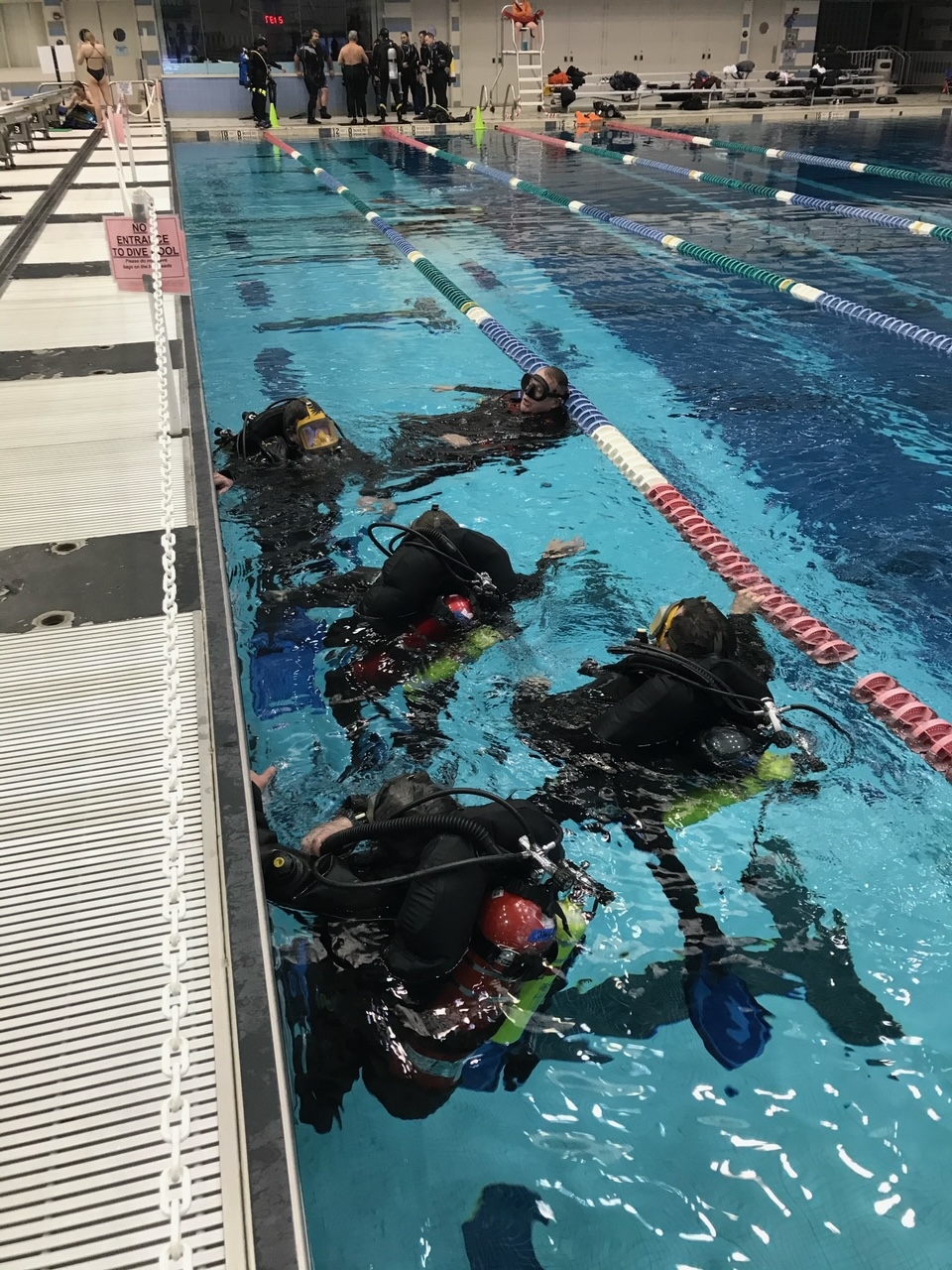 Nassau County Aquatics Center at Eisenhower Park photo 2