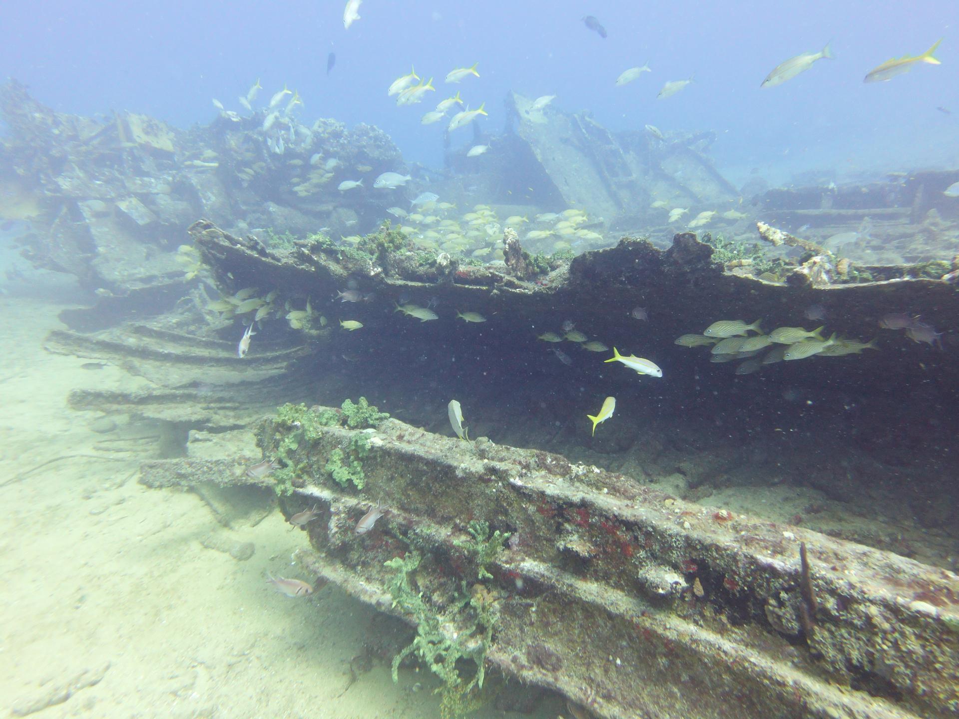Tiegland/Cable Reef photo 8