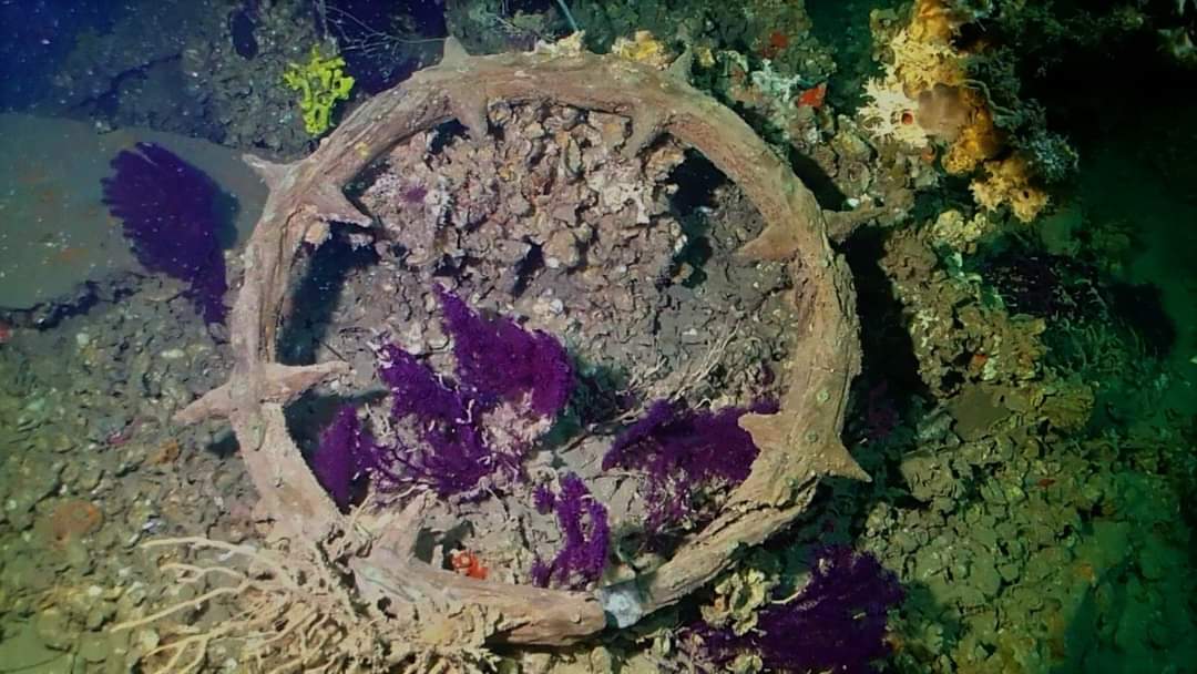 CAPTAIN FRANCO WRECK
