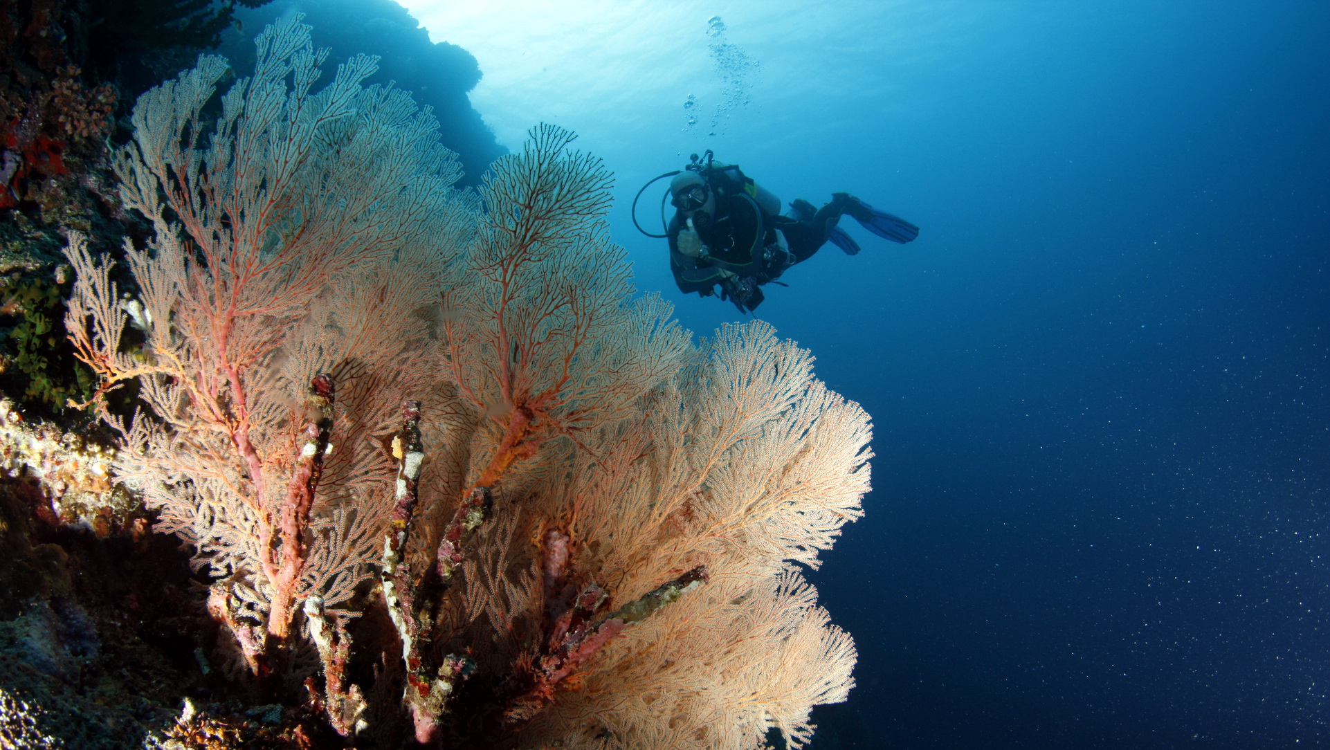 Ronda Bay Marine Sanctuary