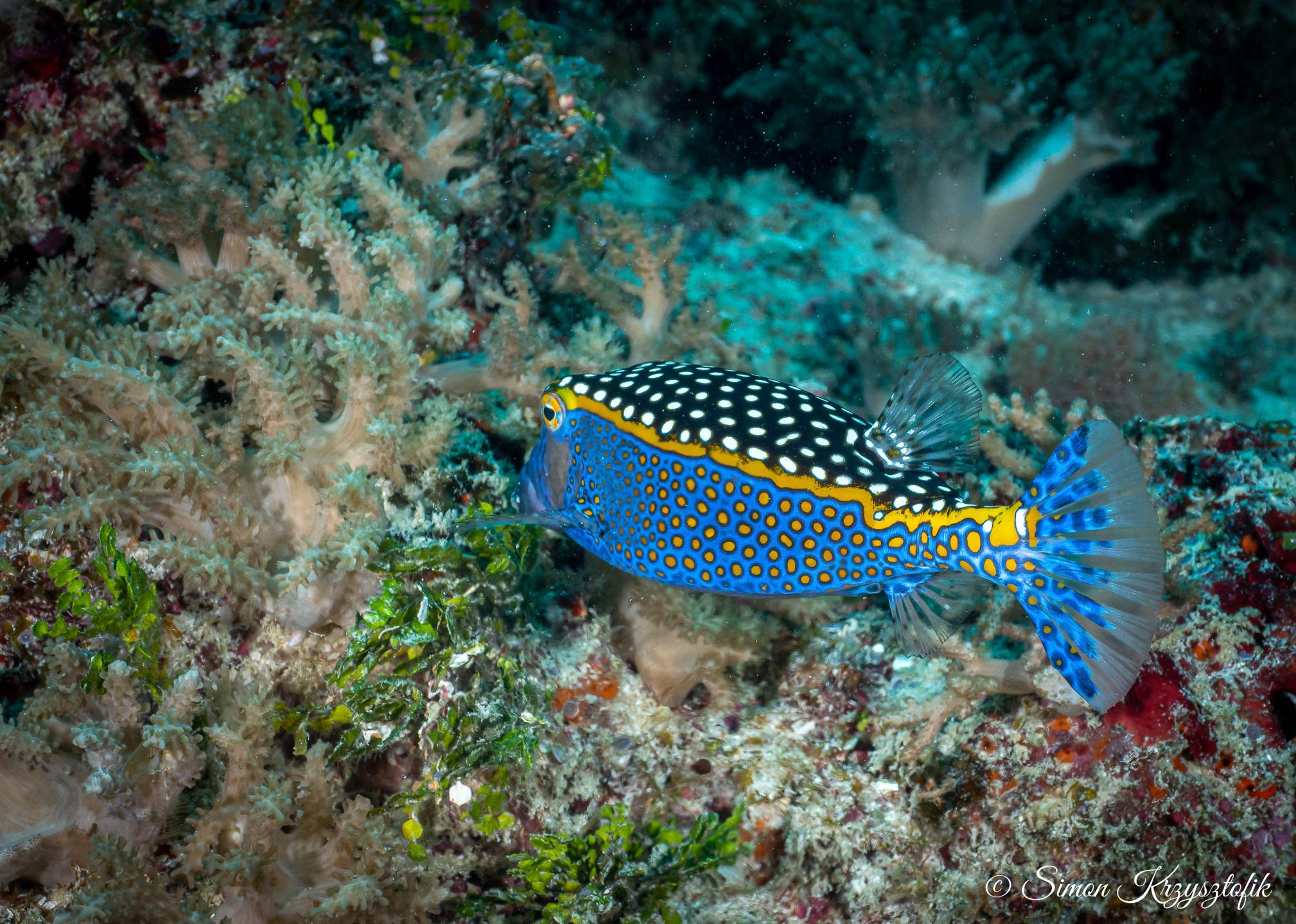 Aquarium photo 3