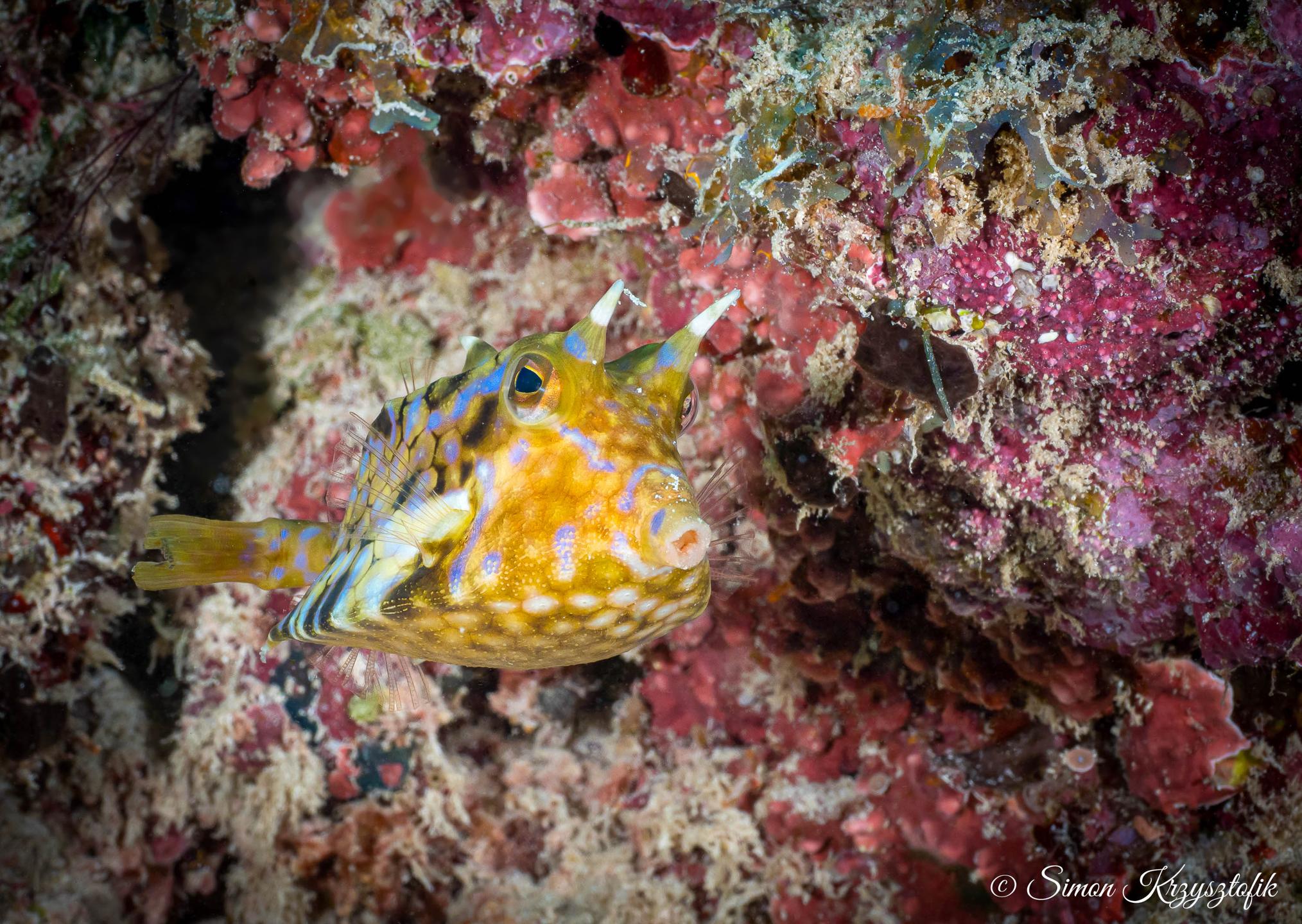 Bawe Reef photo 3