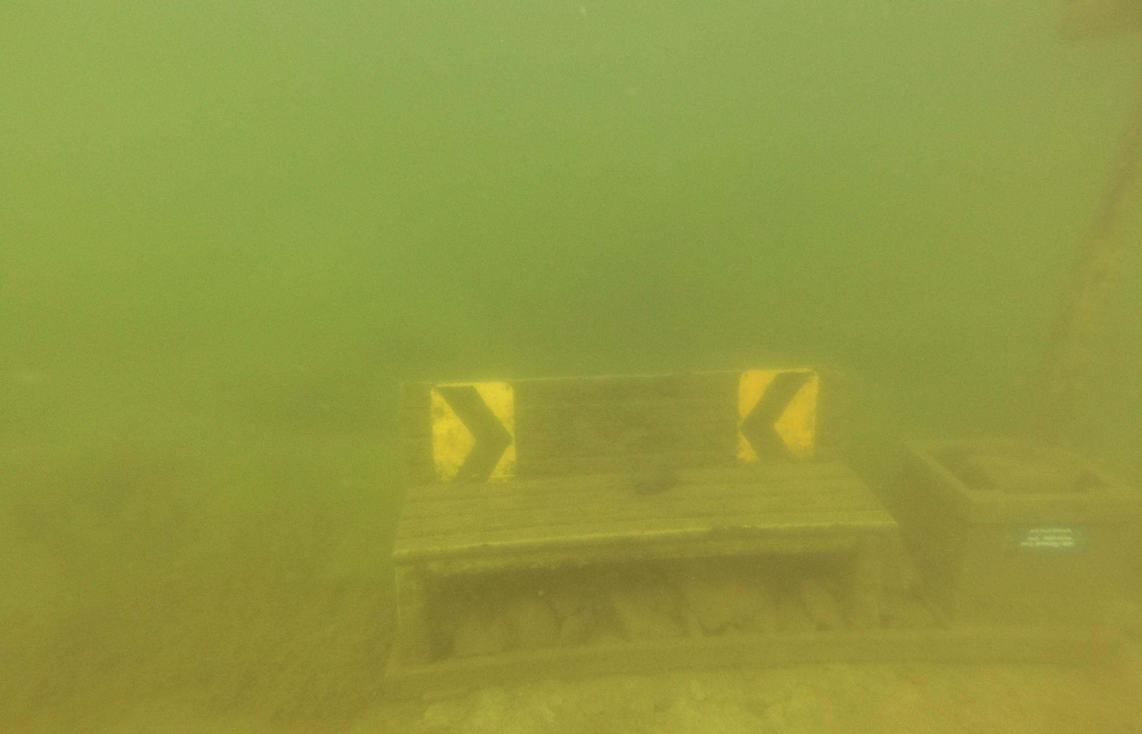 Bluegill Alley photo 22
