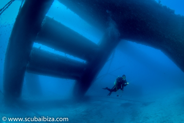 Plataforma Mariana photo 5