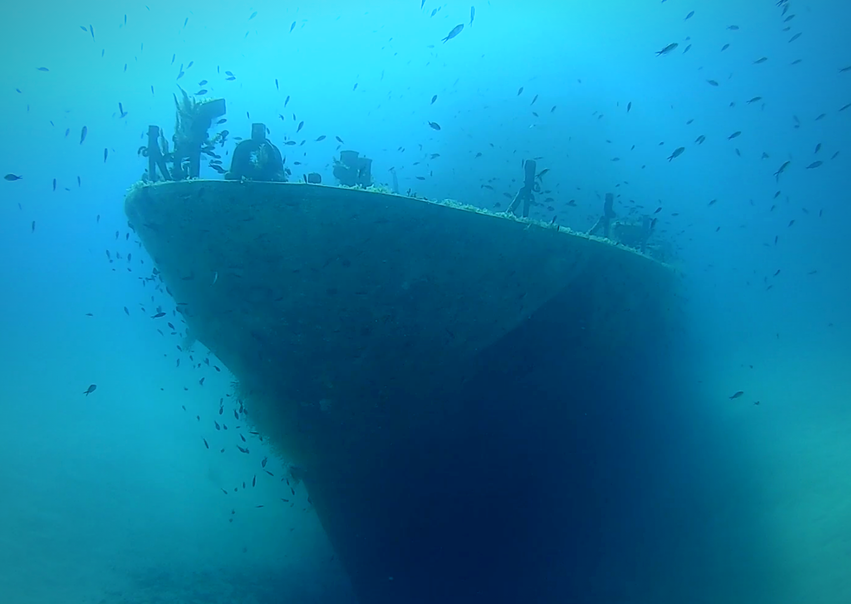 P-31, Comino
