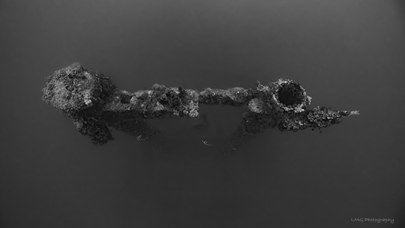 Kitsugawa Maru photo 5