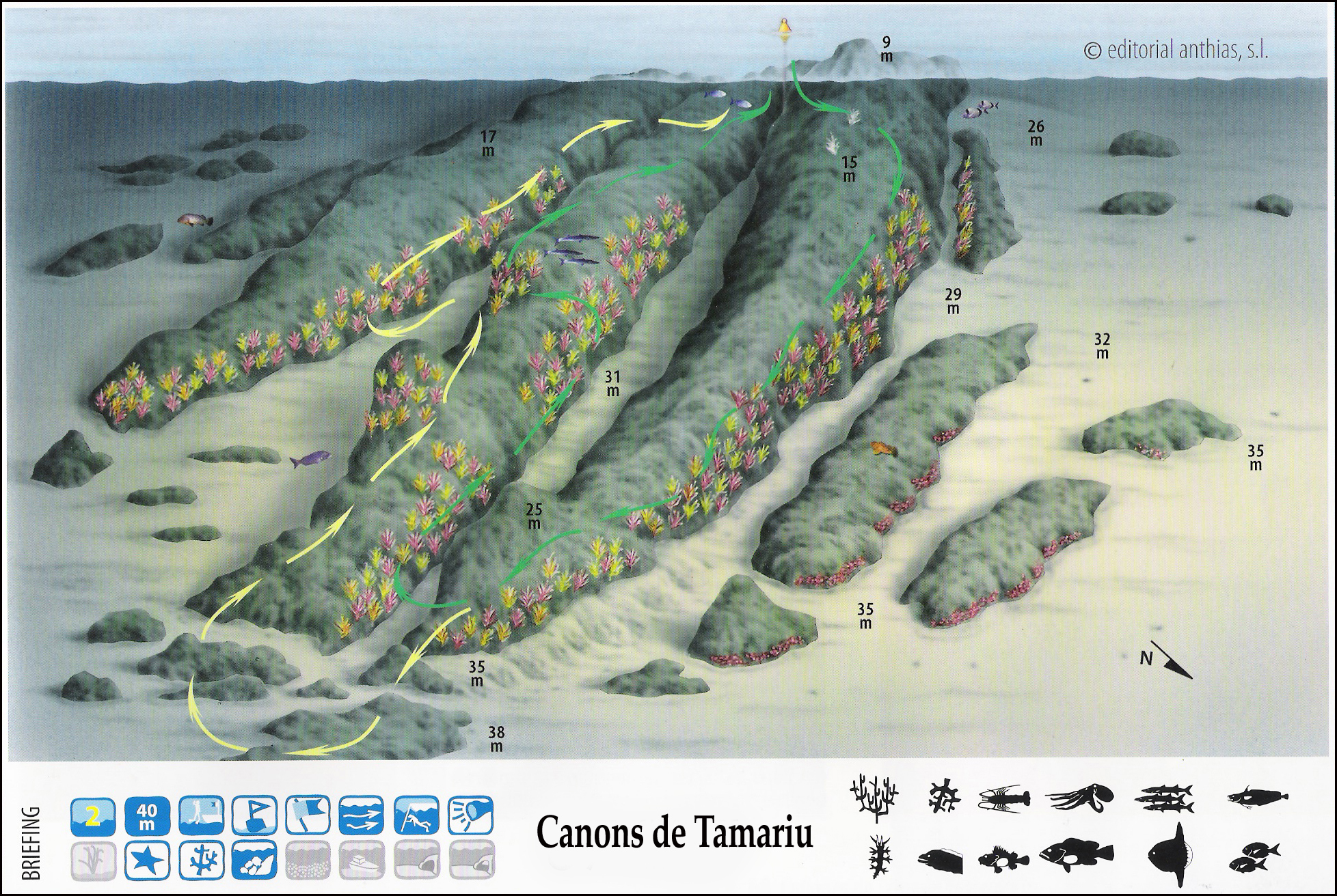 Canons de Tamariu photo 5