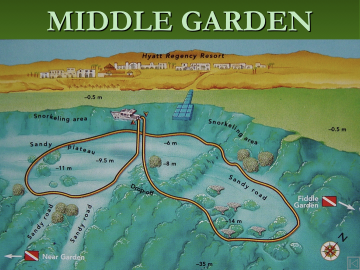 Middle Garden photo 5