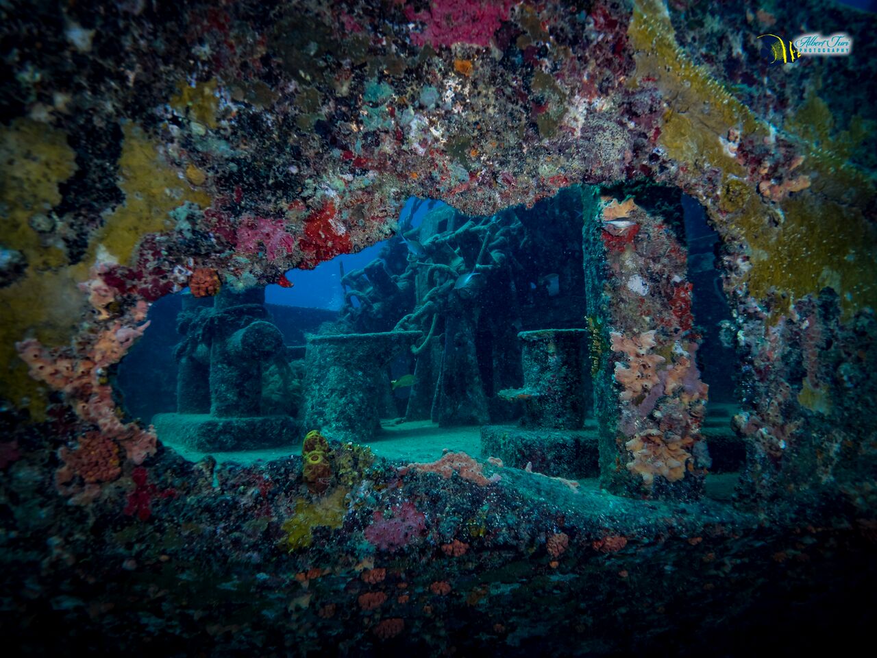 Atlantic Princess photo 4