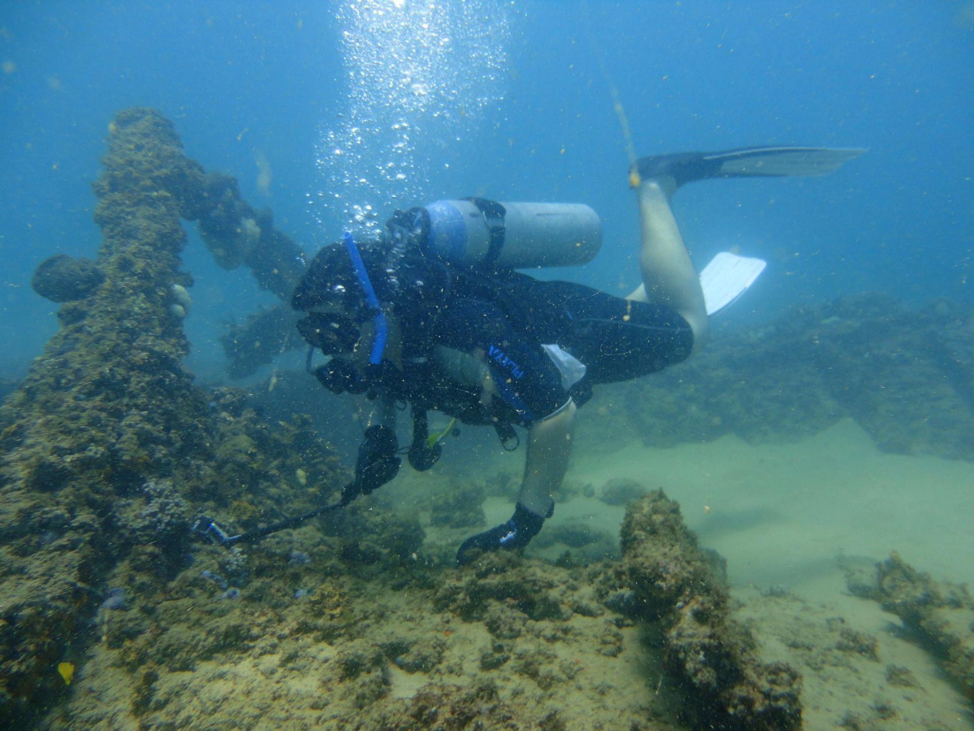 Maraldi Shipwreck photo 3