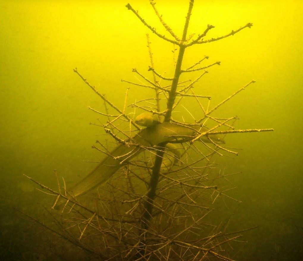 Speicherbecken Geeste