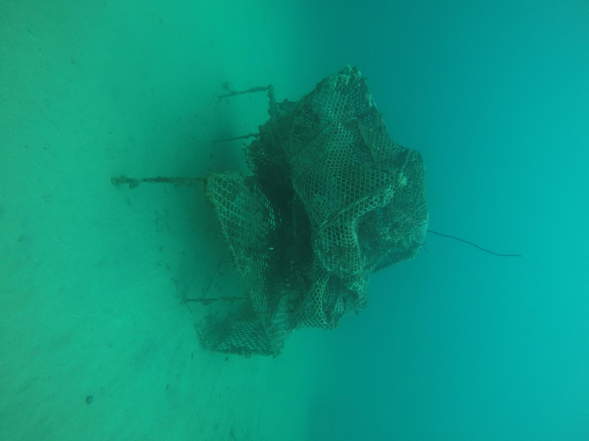 Bahia de Cata photo 2
