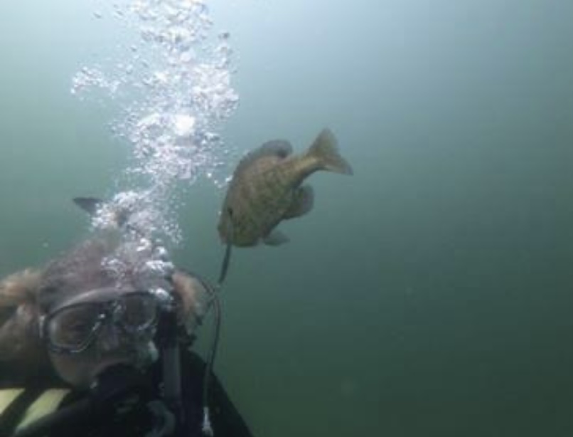 The Scuba Ranch photo 15