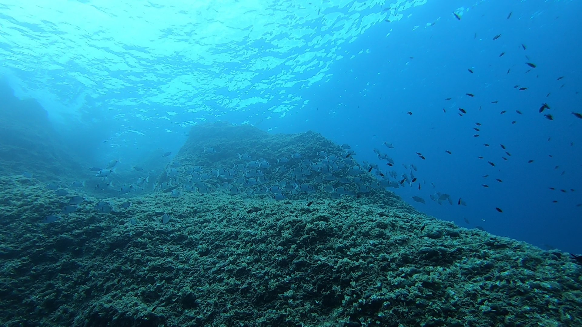 MARIE GROTA CAVE/CLIFF photo 4