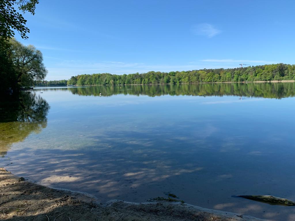 Straussee