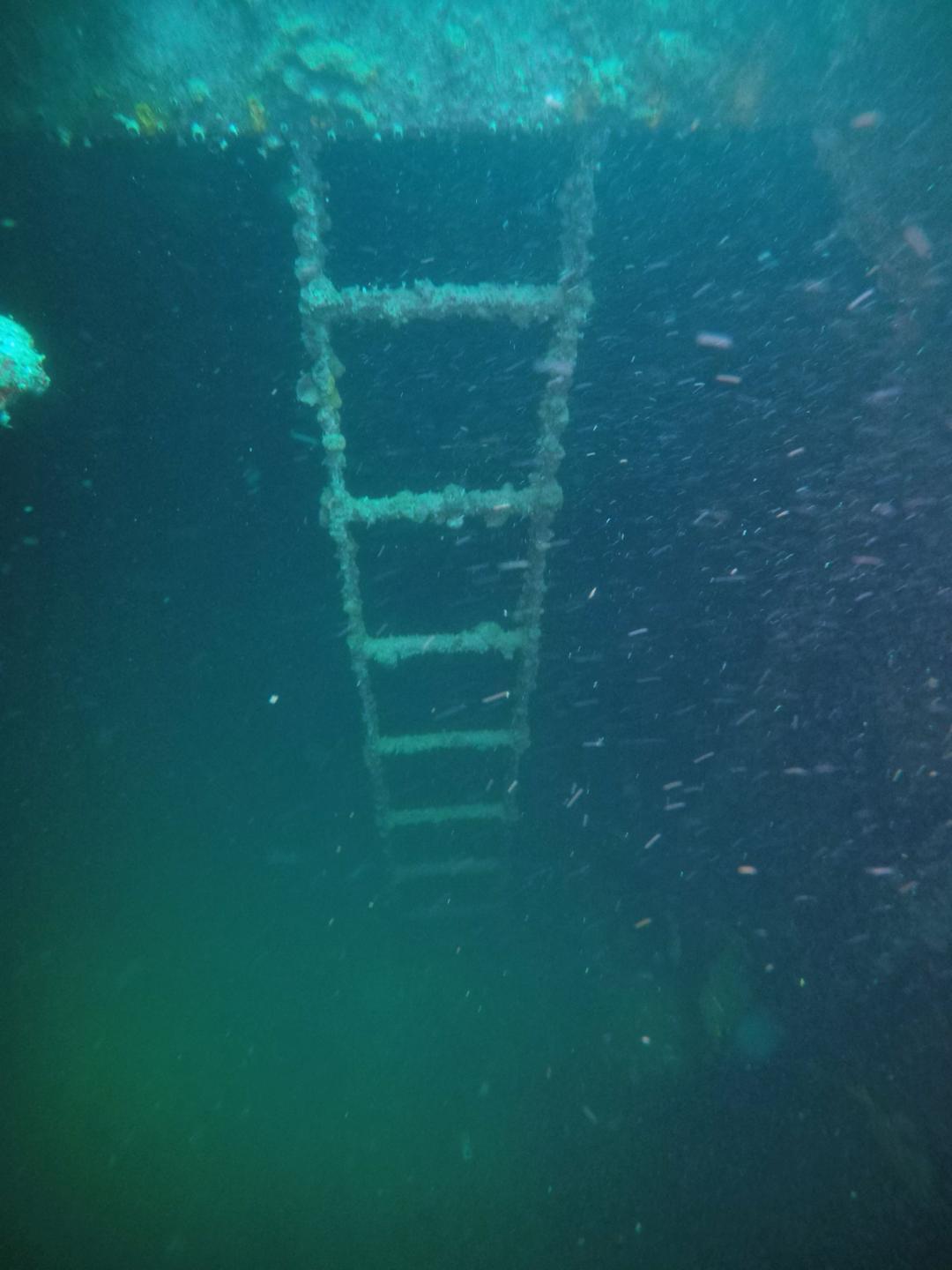 The Barge photo 7