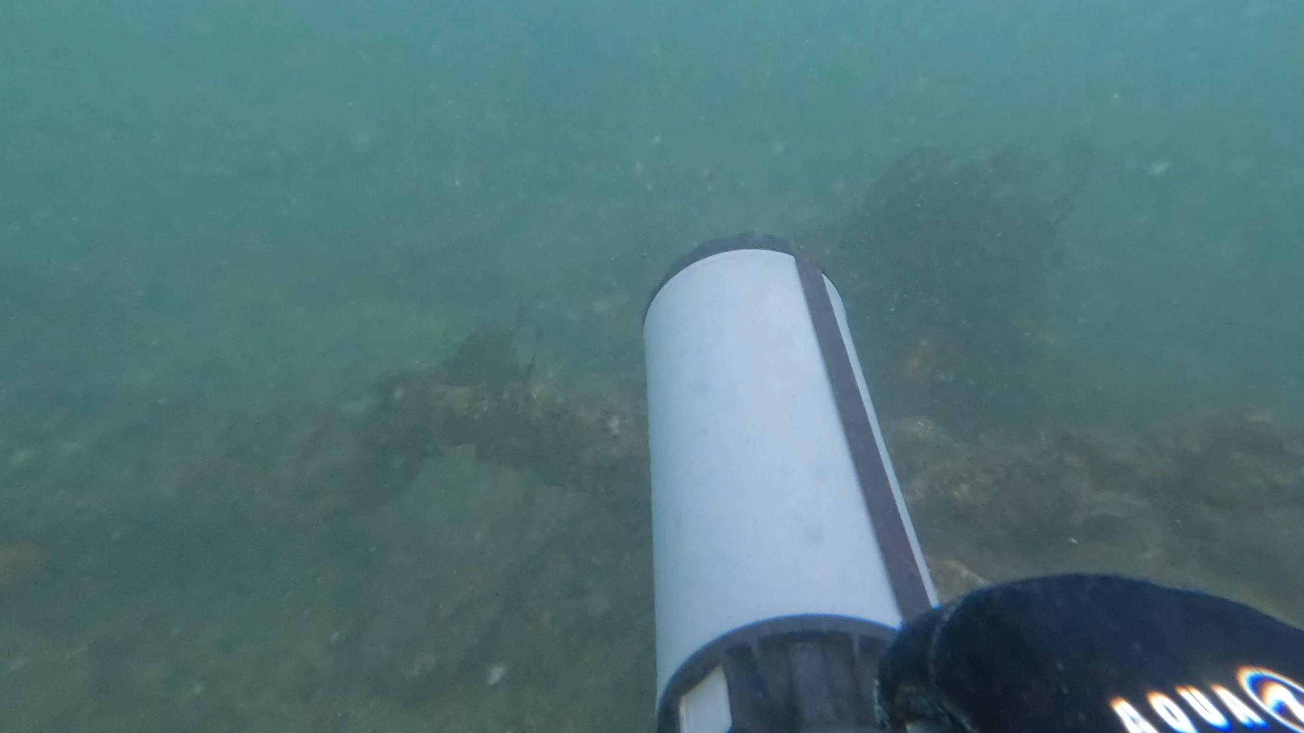 Cabrillo Beach photo 3