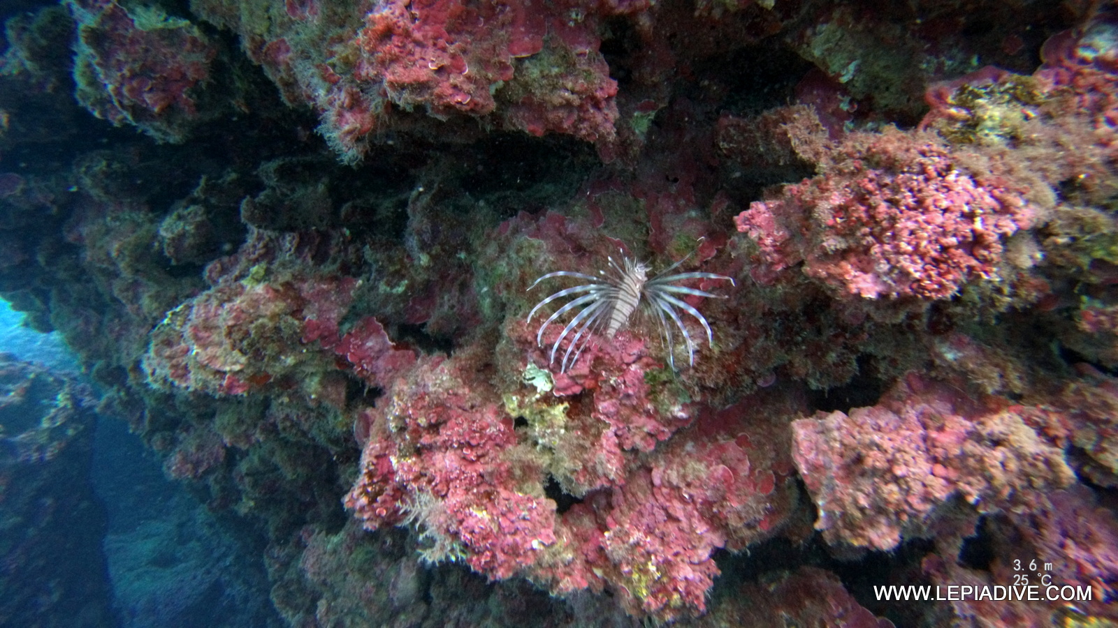 St. Paul's reef and caverns photo 3