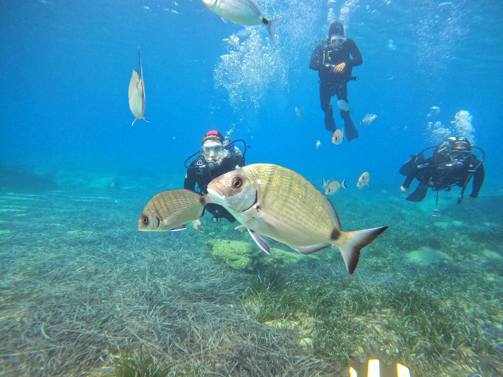 Agios prokopios reef