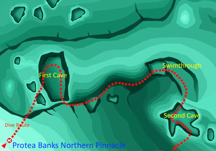 Protea Banks Northern Shark Caves photo 5