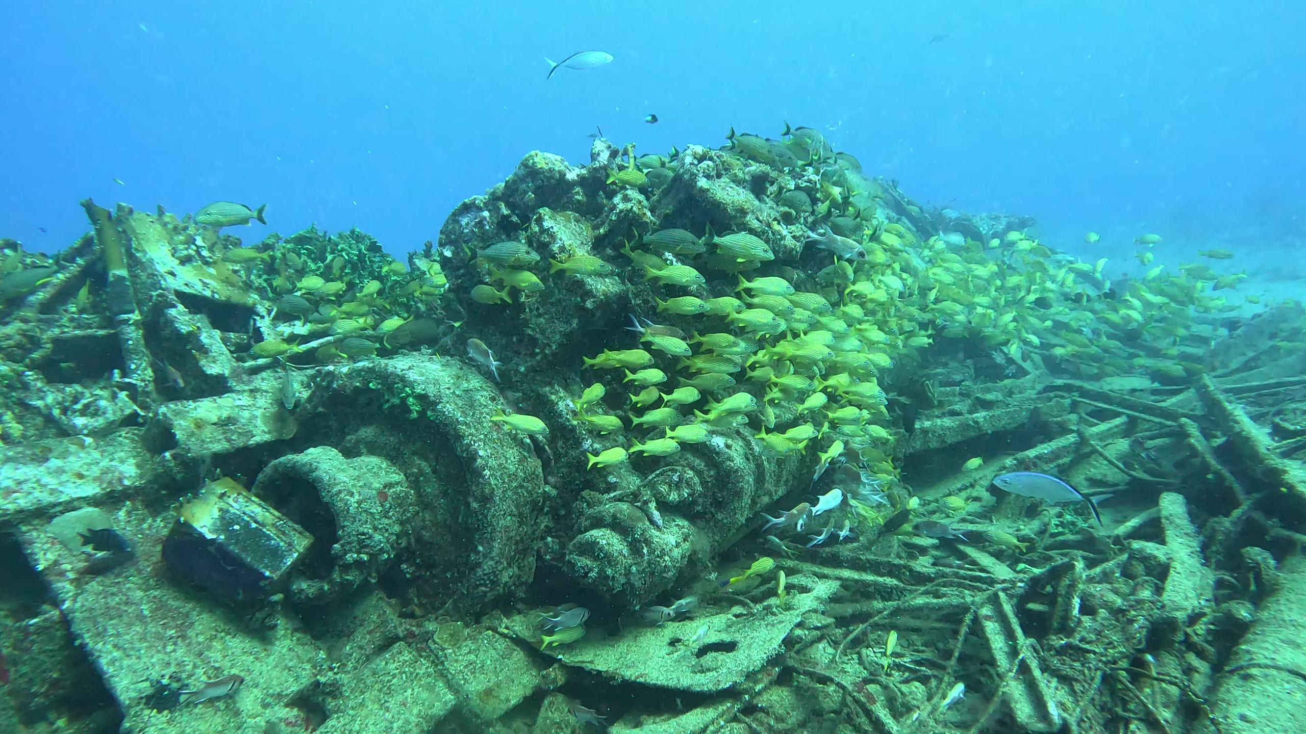 Tiegland/Cable Reef photo 9