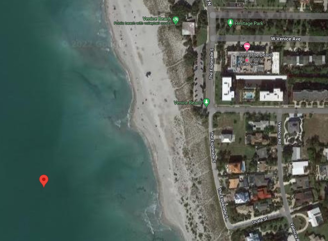 Venice Beach (Shark Tooth)