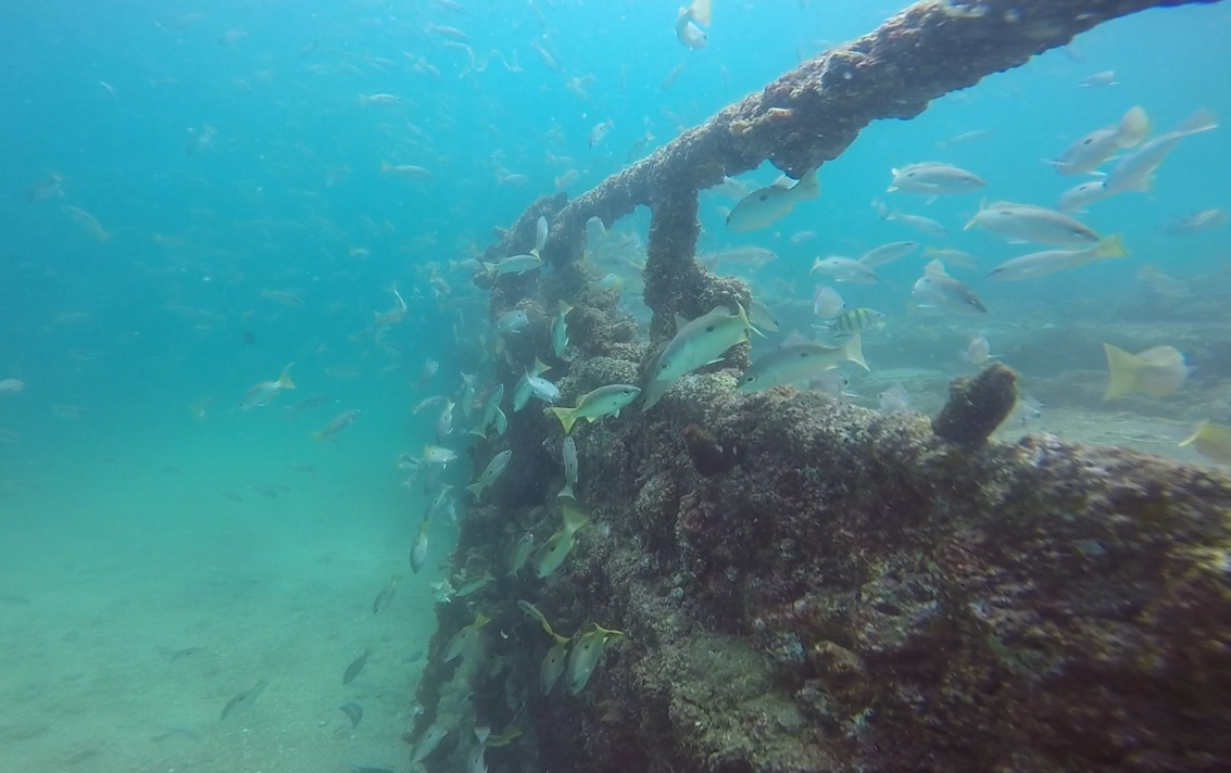 Humsi Wreck photo 5