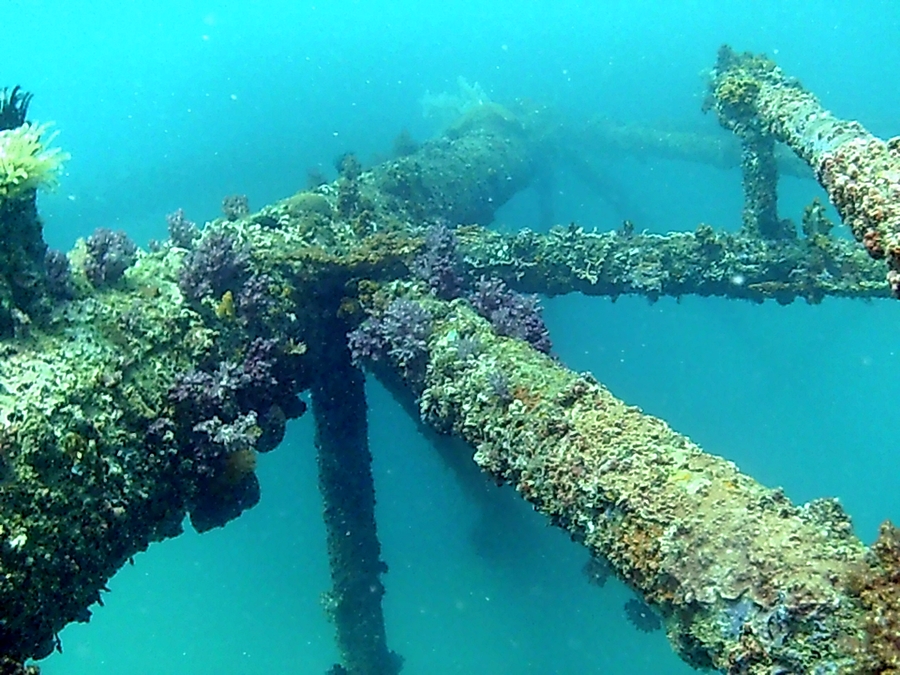 Oil Rig Reef photo 4
