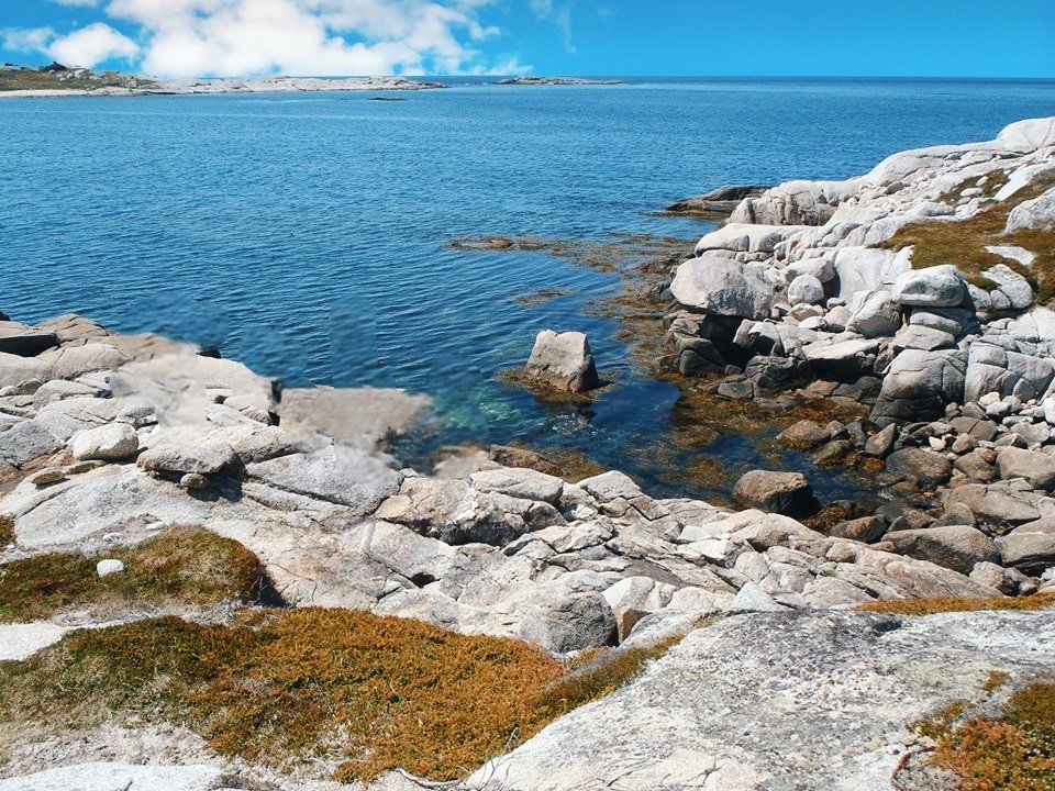 Burns Point