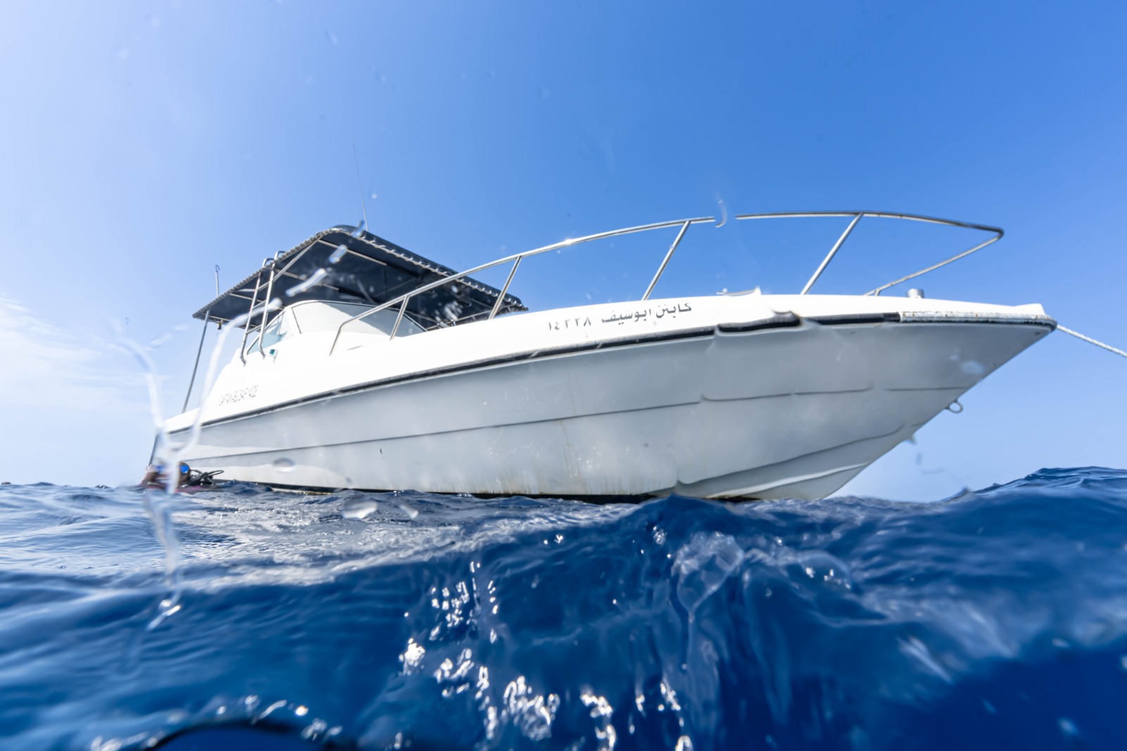 Elite Diver Dive Deck photo 4