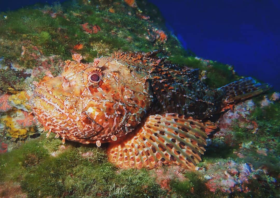 Canons de Tamariu photo 3