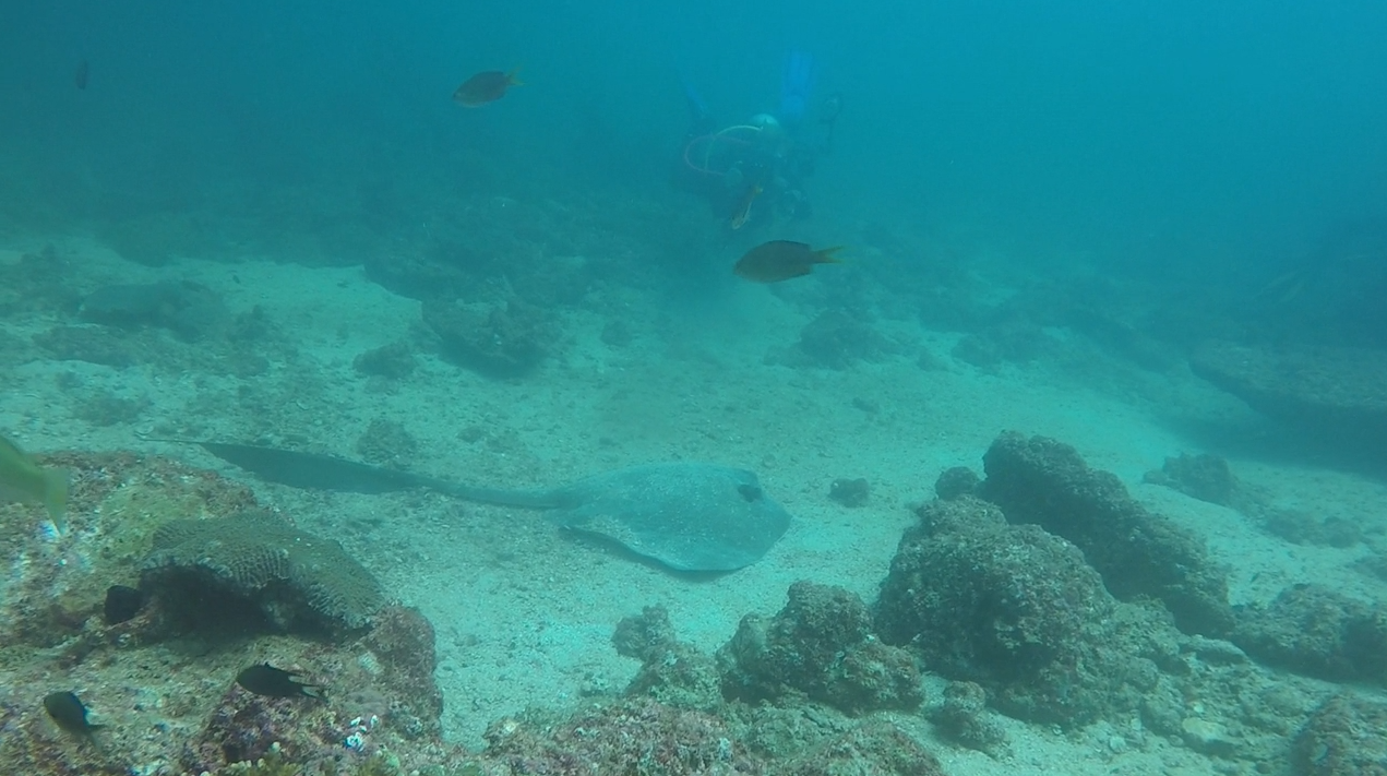 Falcon Rock photo 2