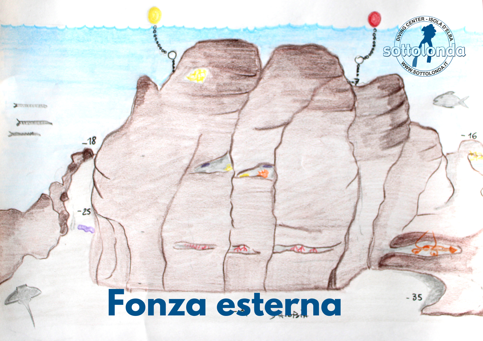 CAPO FONZA photo 2