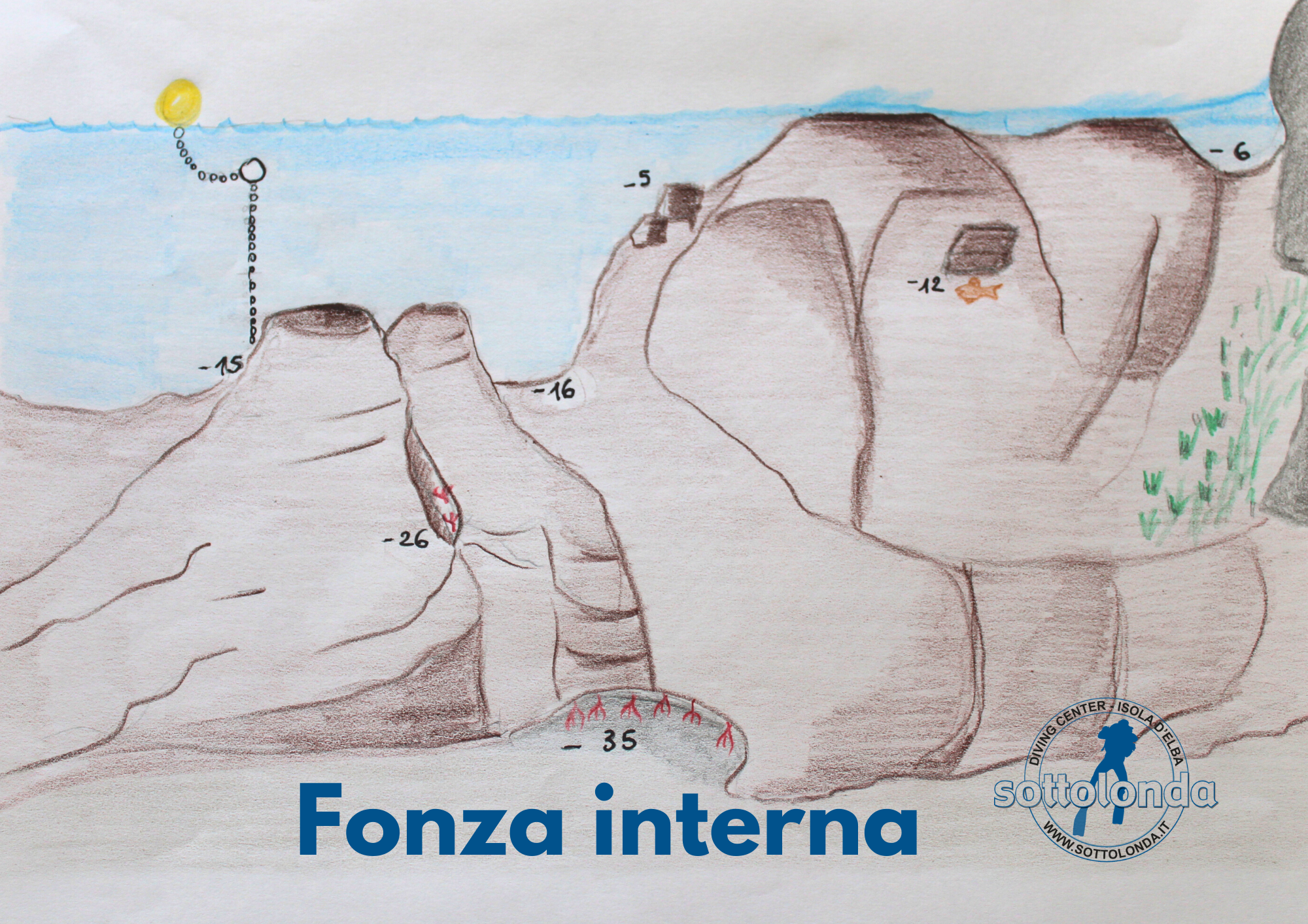 CAPO FONZA