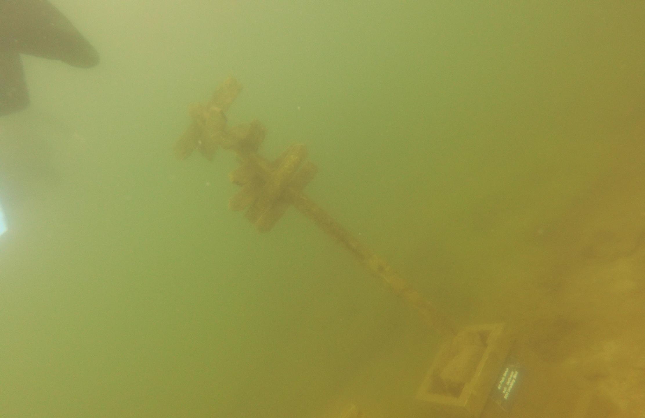 Bluegill Alley photo 19