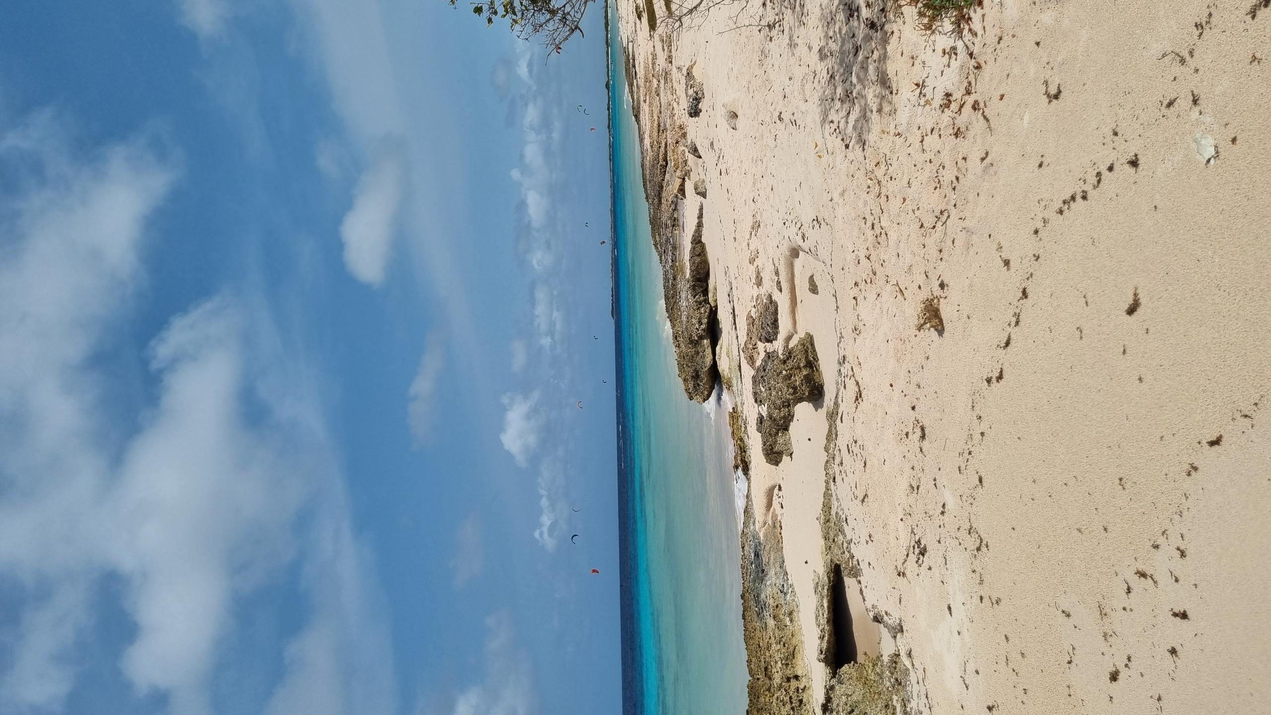Vista Blue photo 2