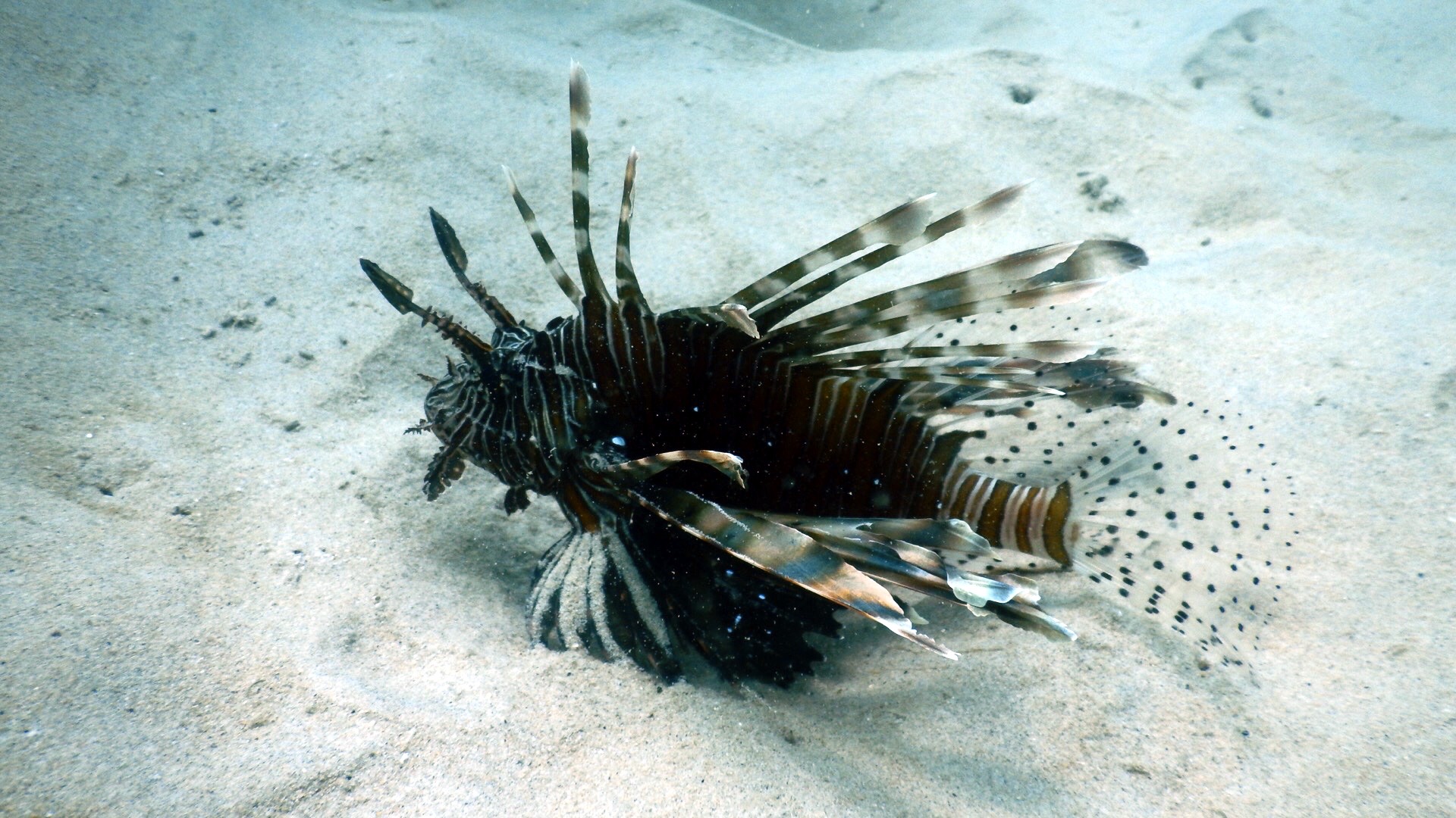Ao Sane beach