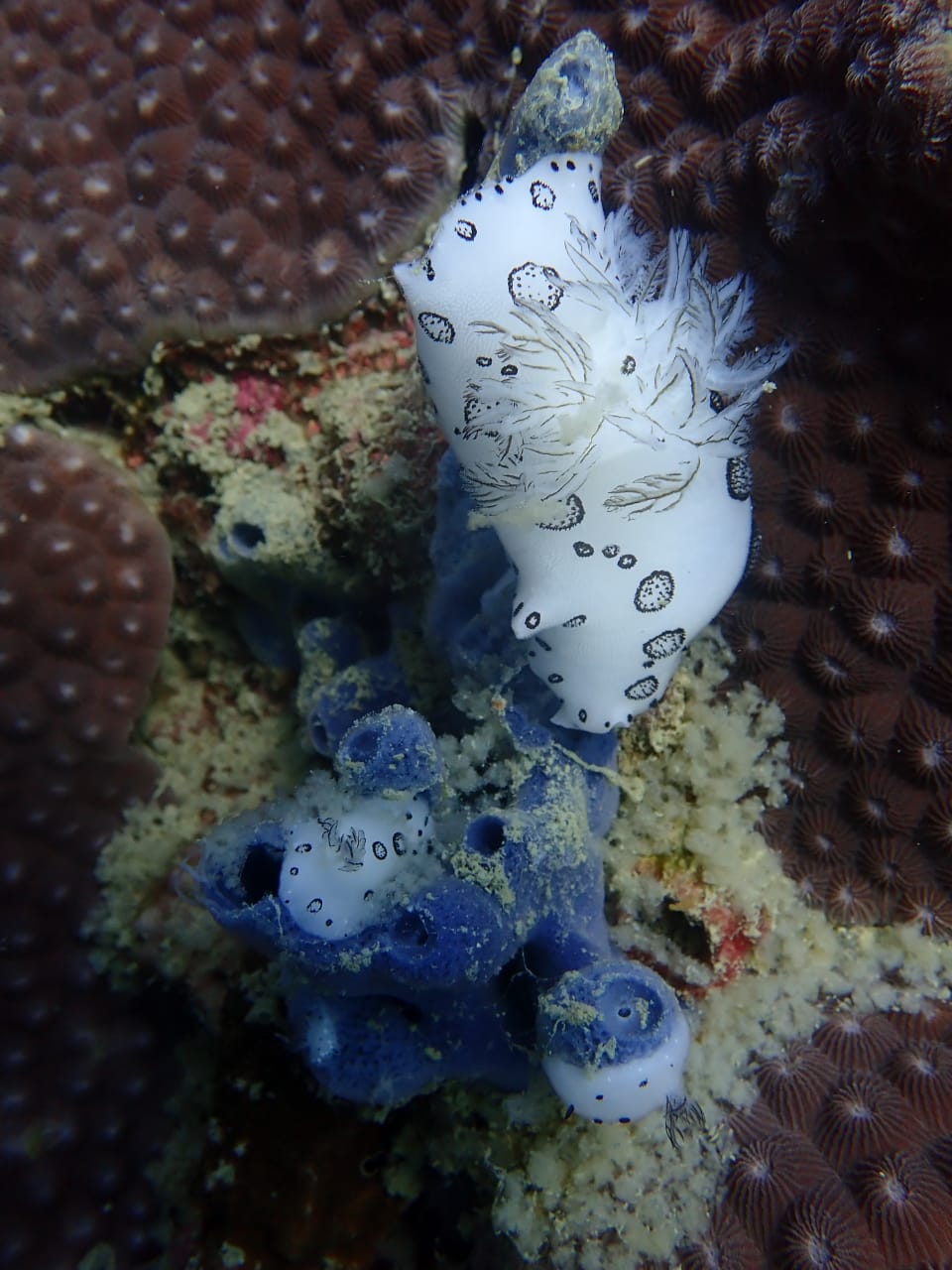 Shark Island photo 2