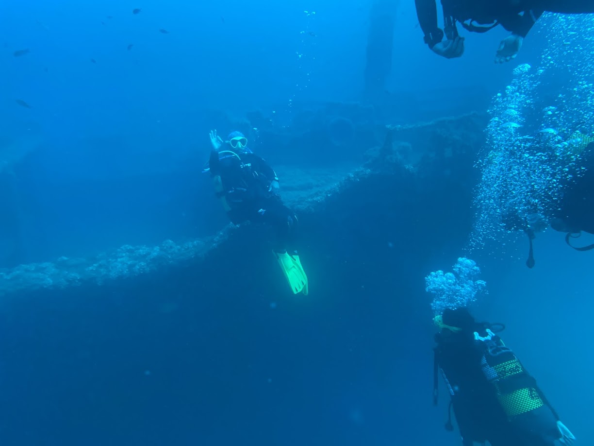 Palma Wrecks photo 3
