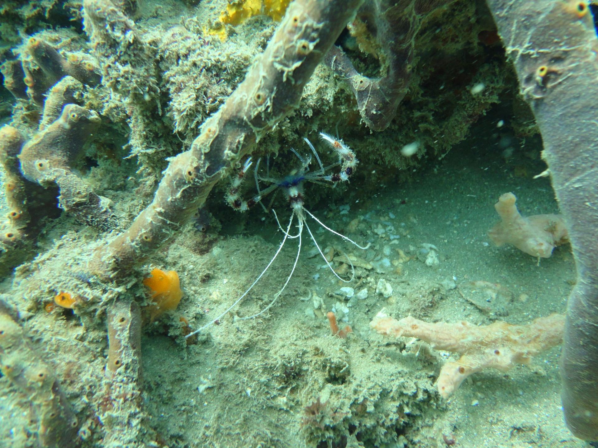 Quebra Mar photo 12