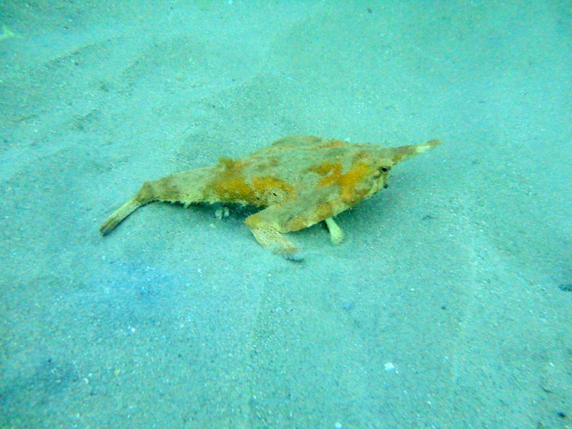 Quebra Mar photo 8