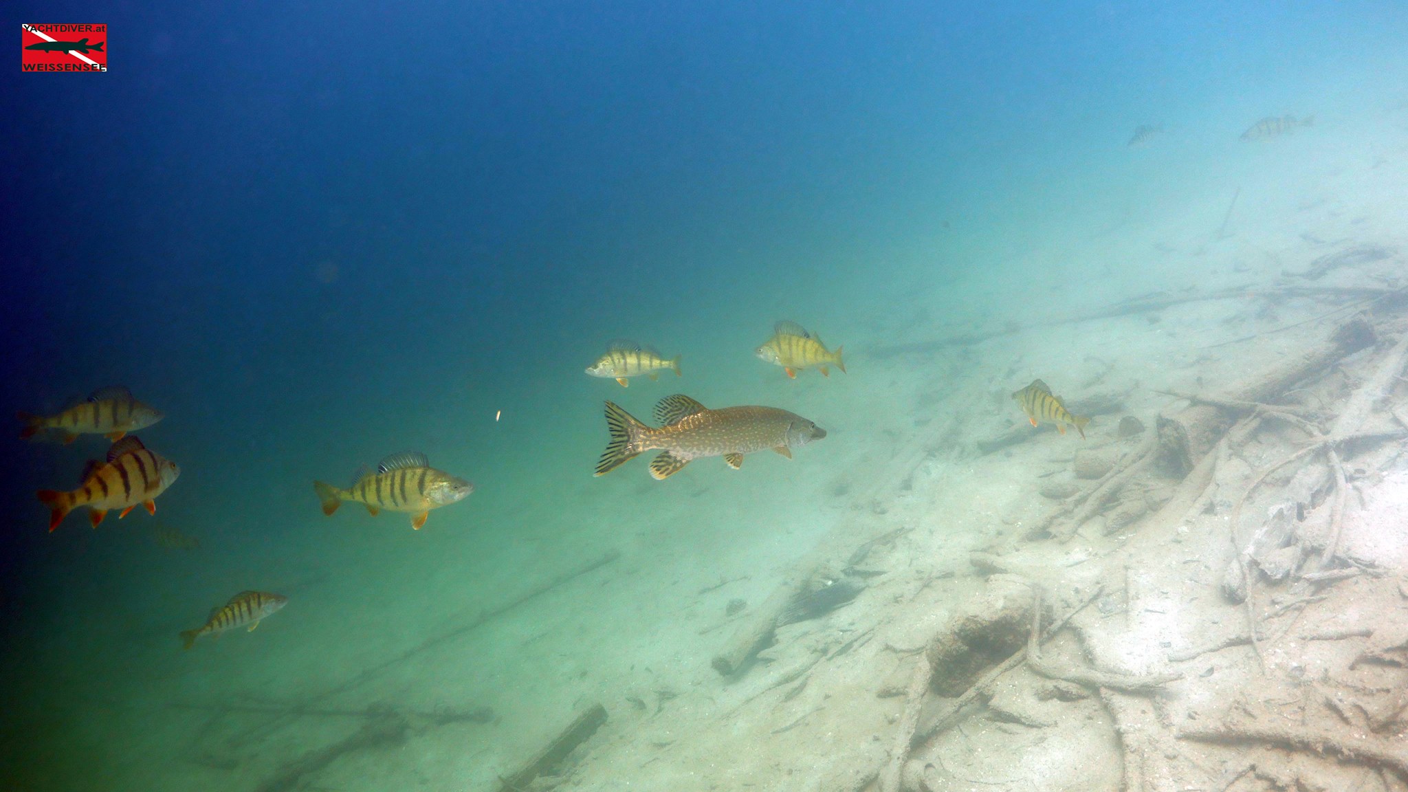 Sulzer Bay photo 2