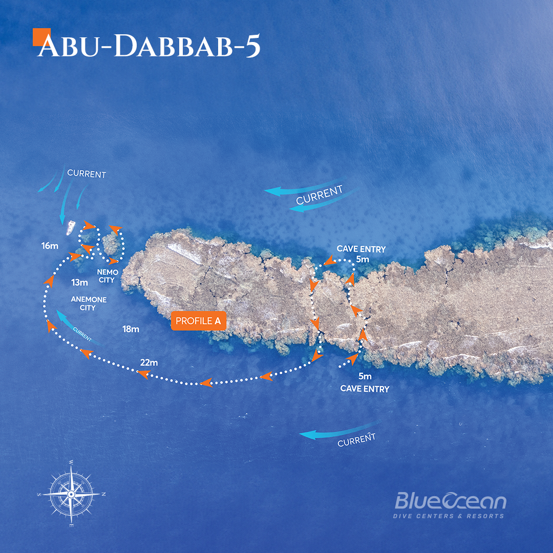 Abu Dabbab 5