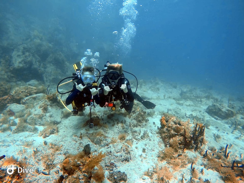Dive Flag Rock