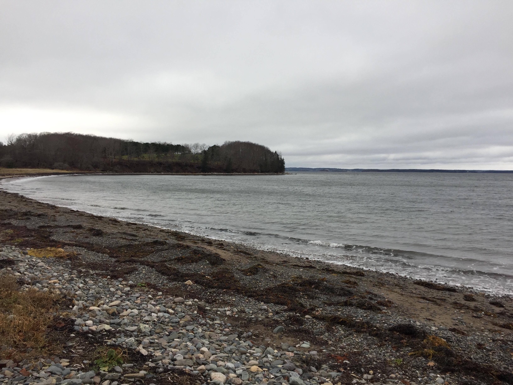 Bachman's Beach