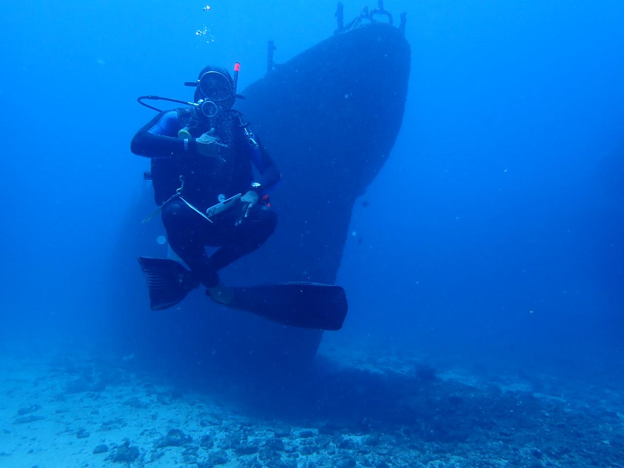 Navy Underwater Dive Museum and Wreck photo 2