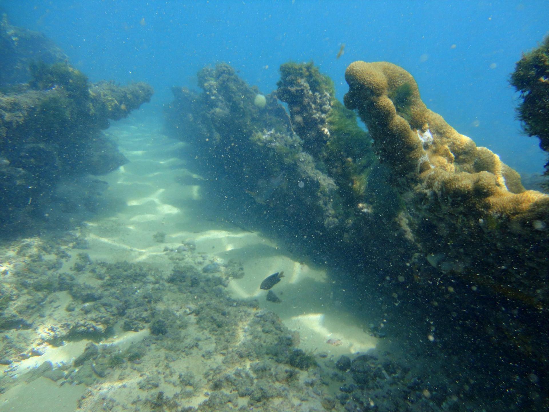 Maraldi Shipwreck photo 6