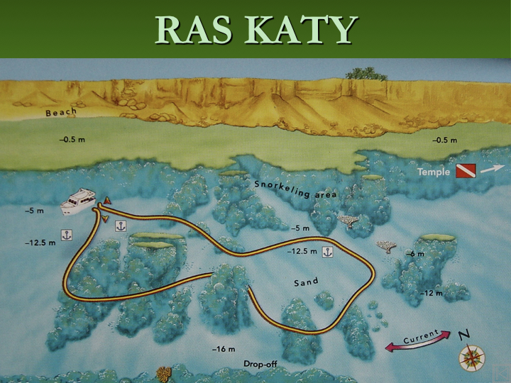 Ras Katy photo 6