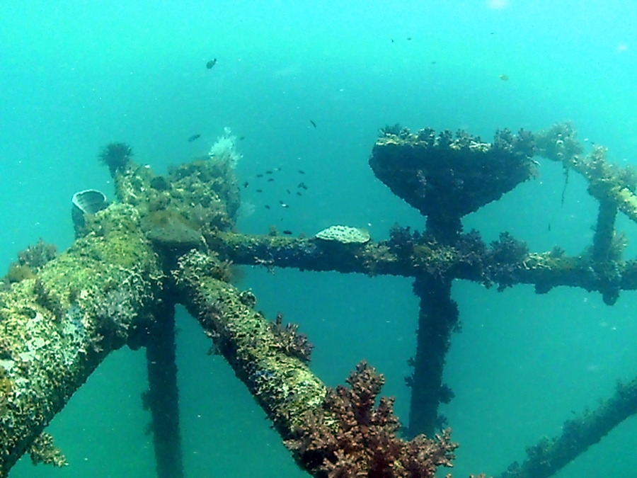 Oil Rig Reef photo 2
